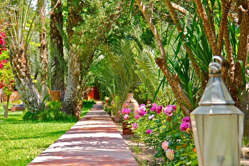 Dar Ayniwen Garden Hotel & Bird Zoo Marrakesh Exterior photo