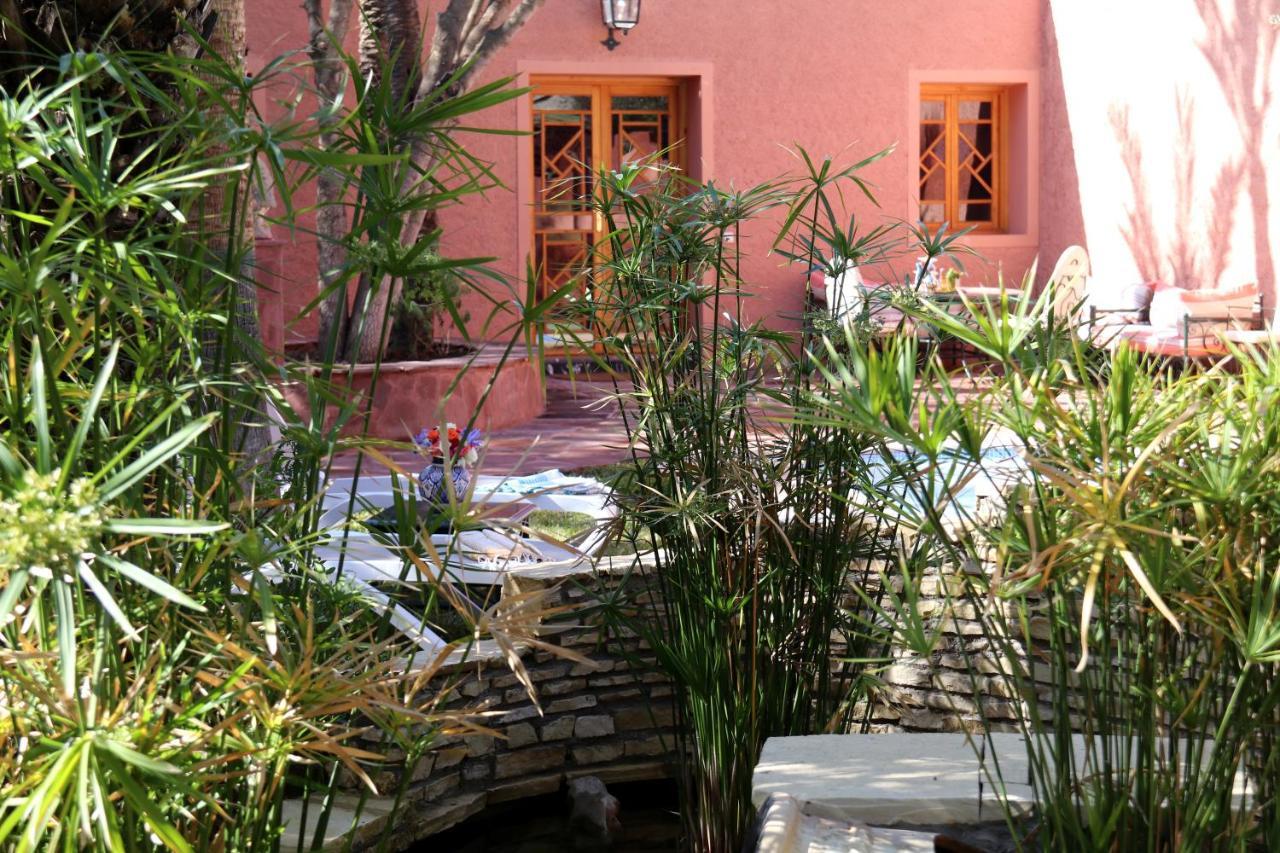 Dar Ayniwen Garden Hotel & Bird Zoo Marrakesh Exterior photo